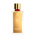 Marc Antoine Tilia EDP
